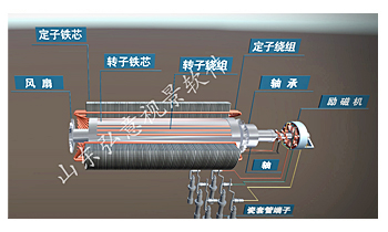 高压电工vr