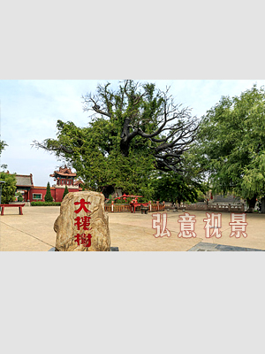山西大槐树旅游实训系统