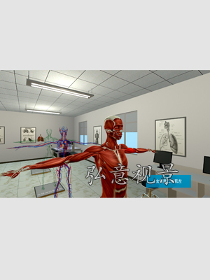 人体解剖VR仿真实训系统